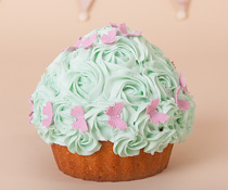 Occasion Cakes: image 7 of 8